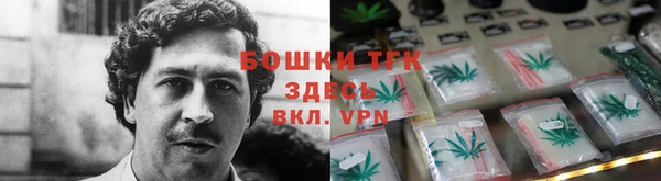 стафф Заводоуковск