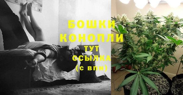 прущие крисы Заволжье