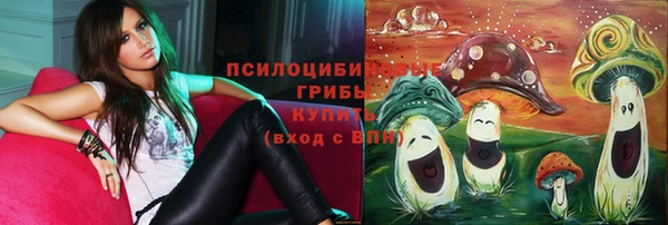 бошки Зеленокумск