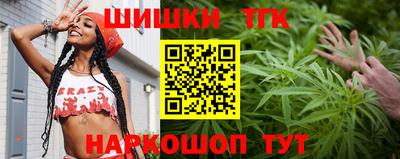 индика Рузаевка