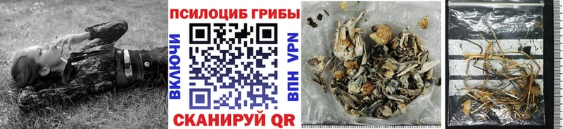 закладка Людиново Псилоцибиновые грибы ЛСД