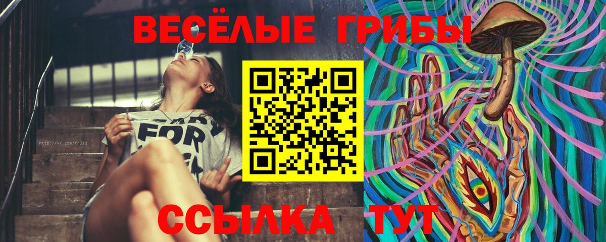 Галлюциногенные грибы Psilocybe Людиново