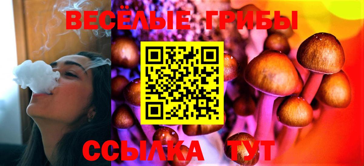 Галлюциногенные грибы MAGIC MUSHROOMS  Вход с VPN  Людиново  Псилоцибиновые грибы мицелий 